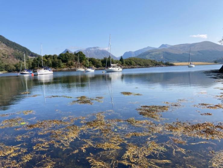 The Fox'S Den, Luxury Cosy Mini Lodge, Highlands North Ballachulish Εξωτερικό φωτογραφία